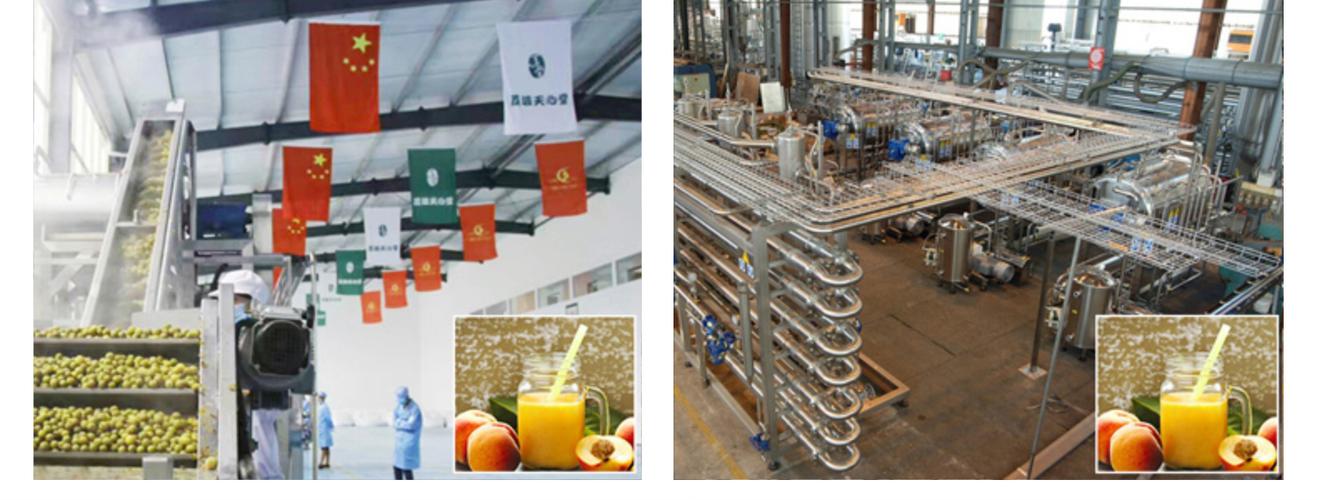定制nfc纯果汁成套生产线 水果果汁桃子饮品生产线