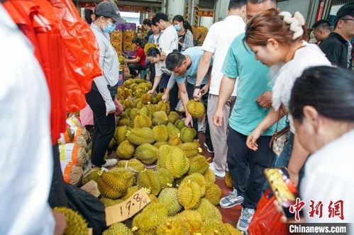 榴莲 蓝莓 樱桃也降了 水果为何纷纷大降价凤凰网吉林 凤凰网